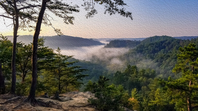 The Rule Of 3: Survival Edition