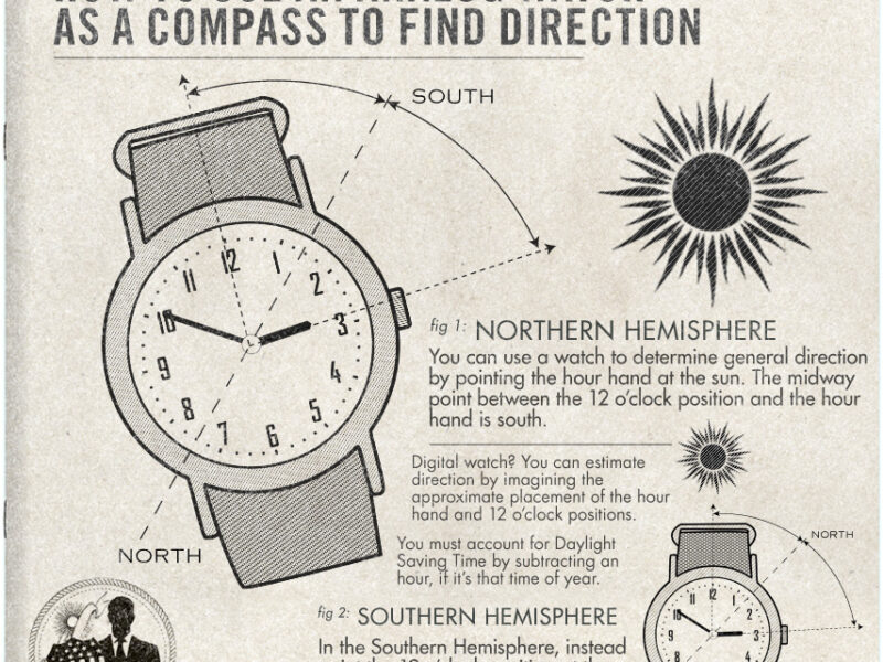watch as compass - BUCKFISH