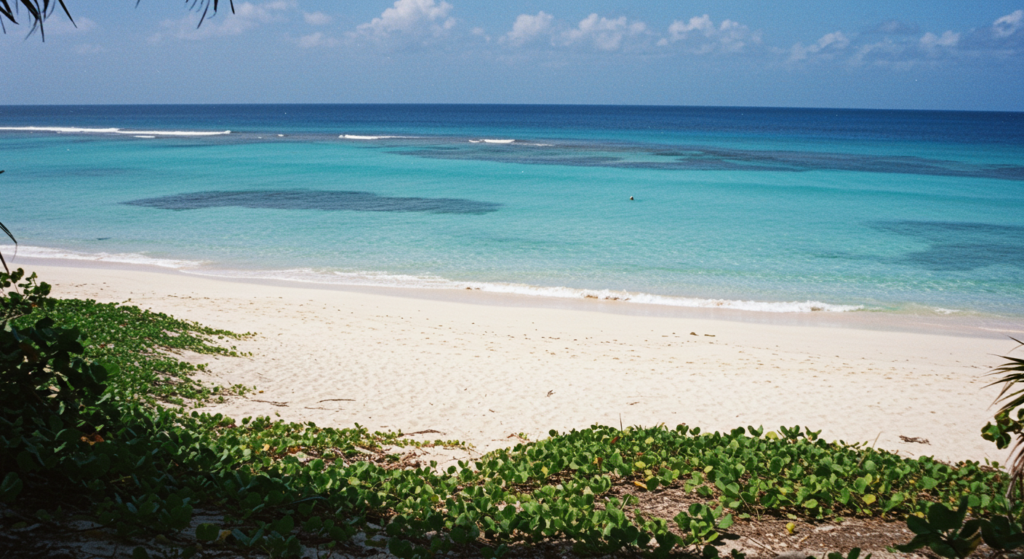 Culebra, Puerto Rico beach campsite - BUCKFISH