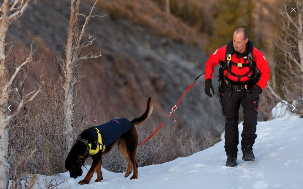 Search and Rescue Dog Handler - BUCKFISH