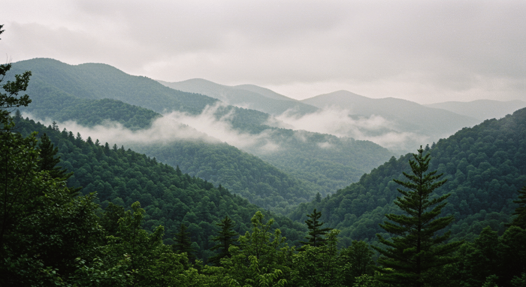 East coast dutdoor destination Smoky Mountains - BUCKFISH